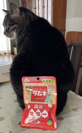 限定2.jpg